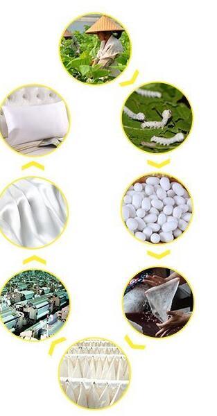 silk (2)